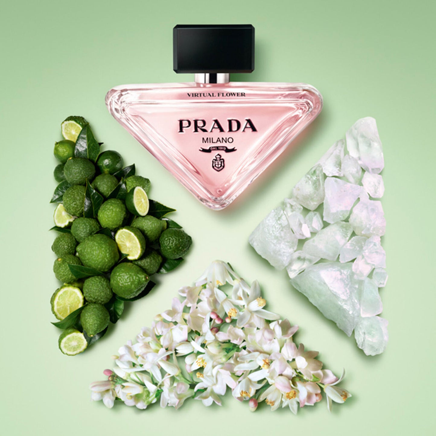 Prada Paradoxe Radical Essence – Intensidad Gourmand para Mujer